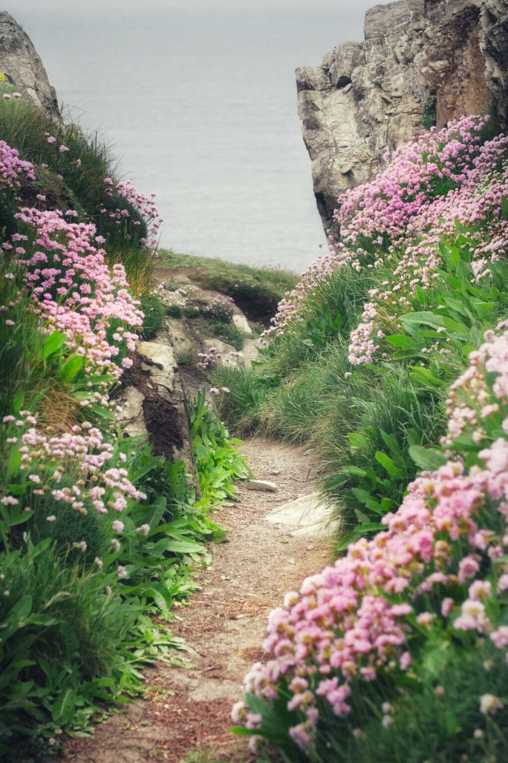 June Cornwall 19 Great Reasons To Visit Cornwall in June - cornishcompass.com